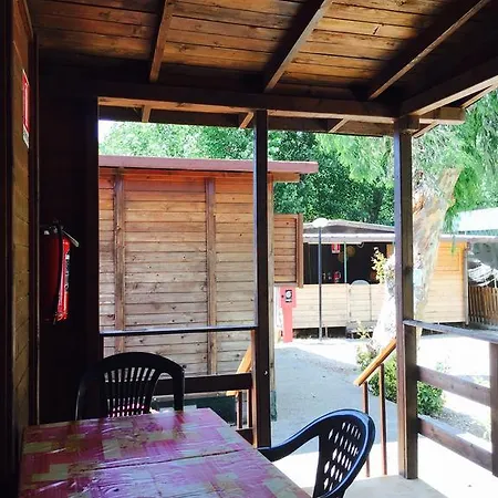 Camping Camping Il Delfino *