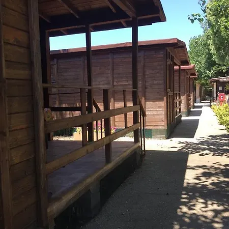 Camping Il Delfino Camping Borgo Santa Rita